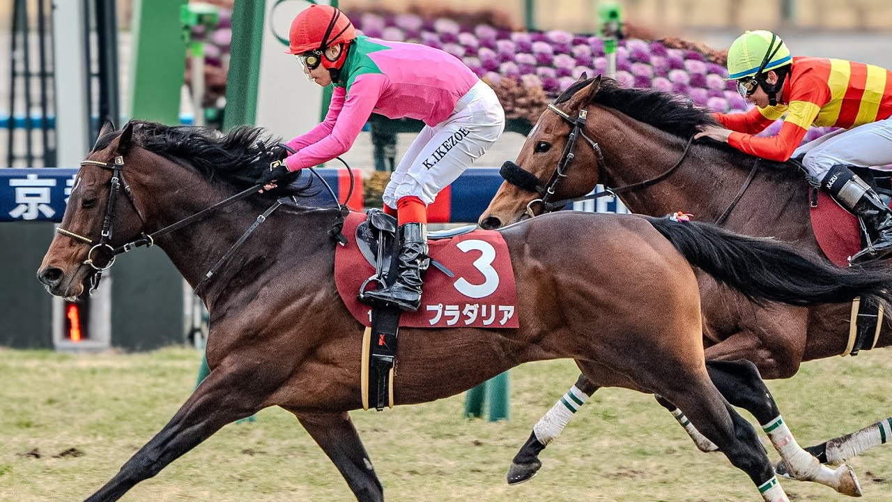 京都11R京都記念2024プラダリア