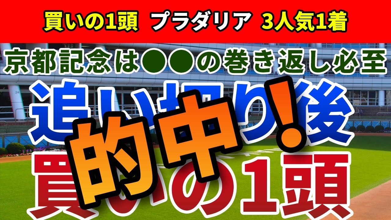 京都記念2024 追い切り後【買いの1頭】公開！タフな馬場で行われた京都記念を徹底検証！前走大敗でも好走必至の実力馬とは？