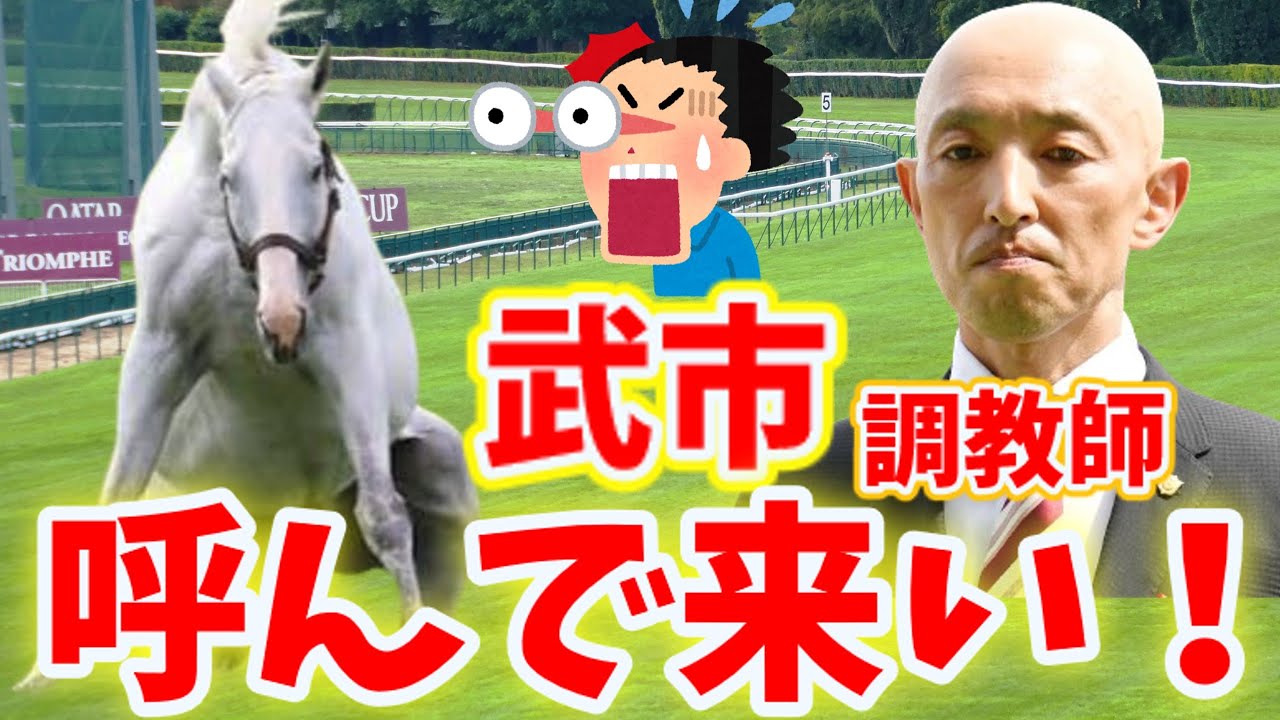 【競馬ネタ系】ゴールドシップ「おい武市調教師呼んで来い！」ゴールデンハインド惨敗でゴルシ様に呼び出されてしまう・・ウインマイティー・マイネルグロン・マイネルラウレア登場