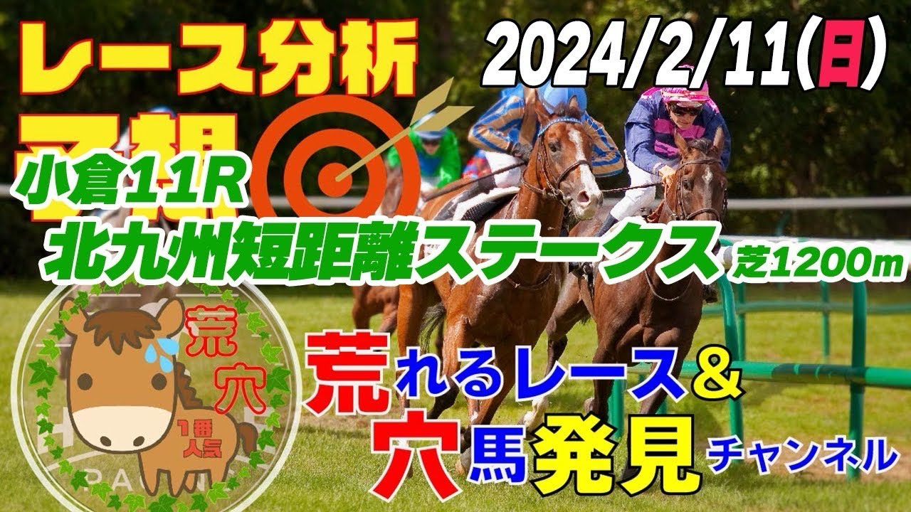 2024年2月11日　平場予想【JRA】