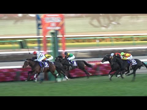 【有馬記念2023】ドウデュース復活に大歓声！ 武豊大きくガッツポーズ！【現地レース映像】