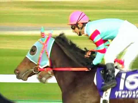 2003 阪神ジュベナイルフィリーズ ヤマニンシュクル CX