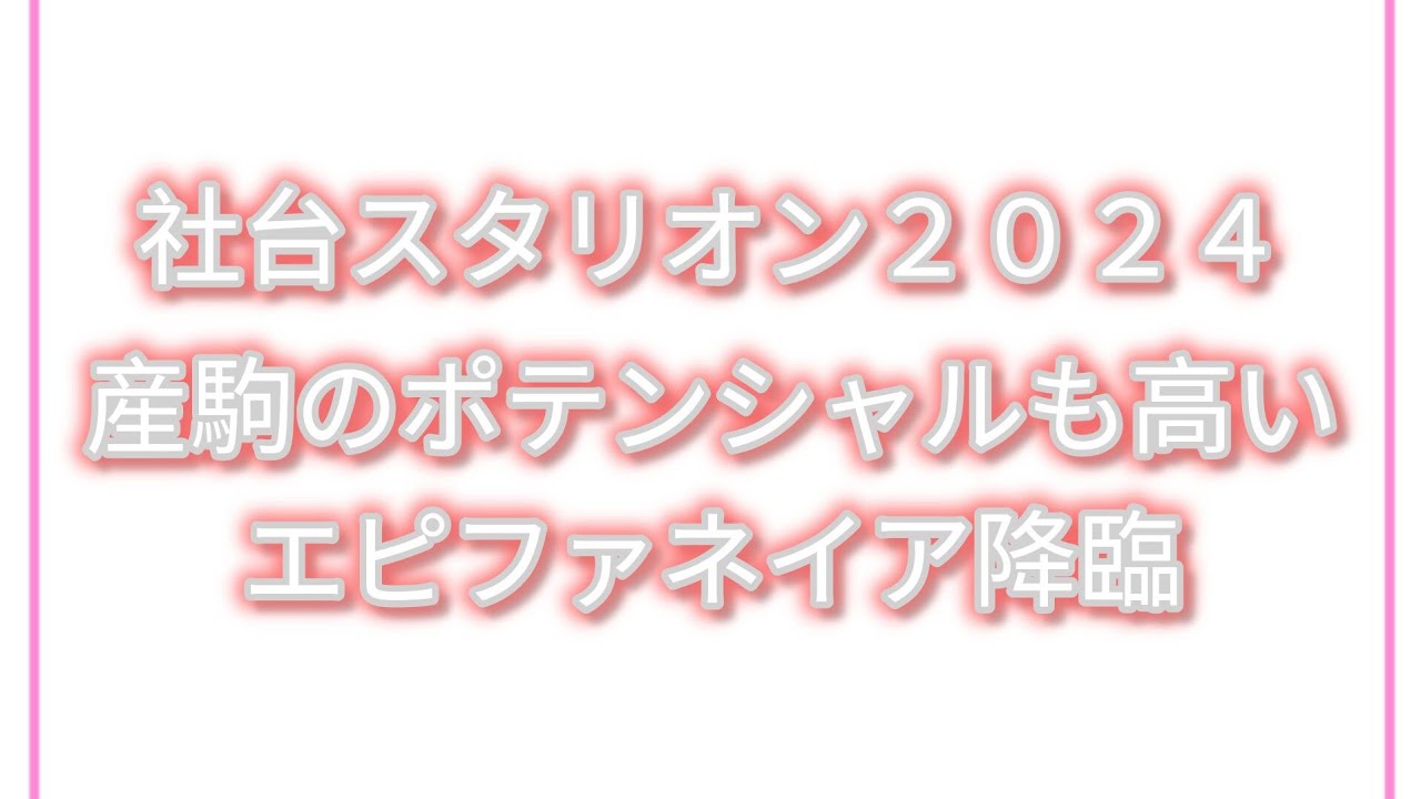 【社台スタリオン展示会２０２４】菊花賞とジャパンカップ制覇の印象が濃いシンボリクリスエスが残した最高の後継種牡馬「エピファネイア」今後もまだまだ大活躍する産駒を輩出しそうなオーラを感じる