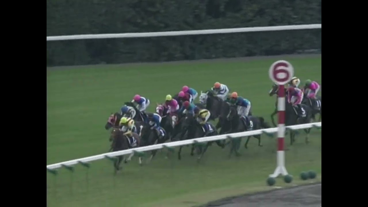 ヒシミラクル 2004年 第130回天皇賞(秋)(GI) (優勝馬：ゼンノロブロイ)