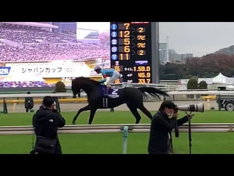【ジャパンカップ】2024  本馬場入場  リバティアイランド、イクイノックス、タイトルホルダー、ドウデュース、パンサラッサ、スターズオンアース