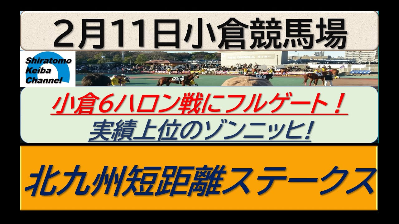 【競馬予想】北九州短距離ステークス！～２０２４年２月１１日 小倉競馬場 ：２－２４