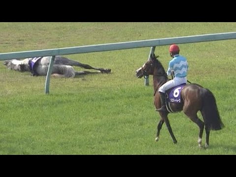 打倒イクイノックス(02/06)