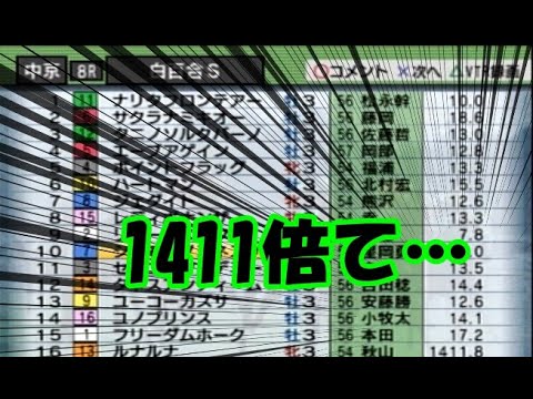 中年のダービー馬を作ろうでのボヤキvo.31(絶賛低迷期をどう乗り切るか？の巻)
