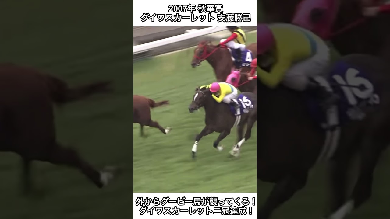 【競馬】外からダービー馬が襲ってくる！ダイワスカーレットがウオッカを振り切り二冠達成！ #競馬 #秋華賞 #ダイワスカーレット #shorts