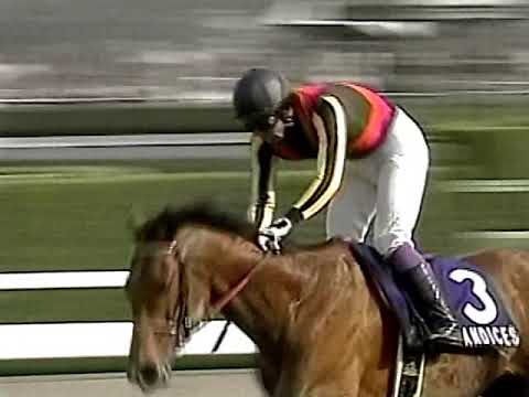 2004 中山グランドジャンプ ブランディス TX