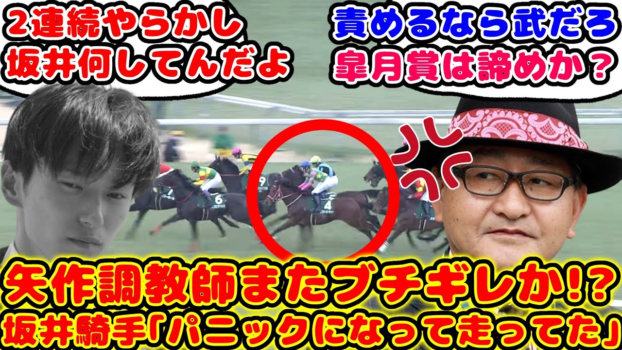 【競馬】ミスタージーティー 共同通信杯でパニックになり敗退が話題に！【競馬の反応集】