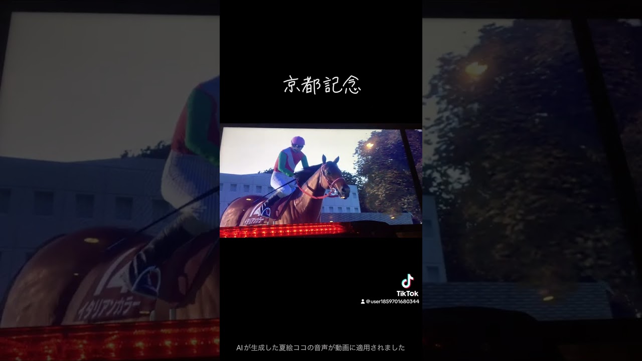 starhorse4(京都記念)