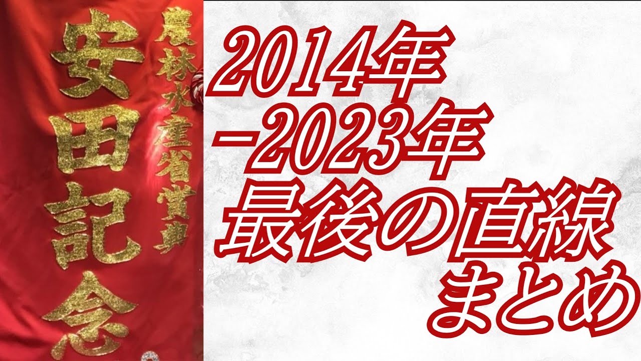 安田記念 2014年～2023年 最後の直線まとめ
