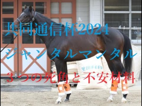 先週穴馬２頭好走 共同通信杯2024 ジャンタルマンタルに赤信号 致命的な不安を抱えた人気上位