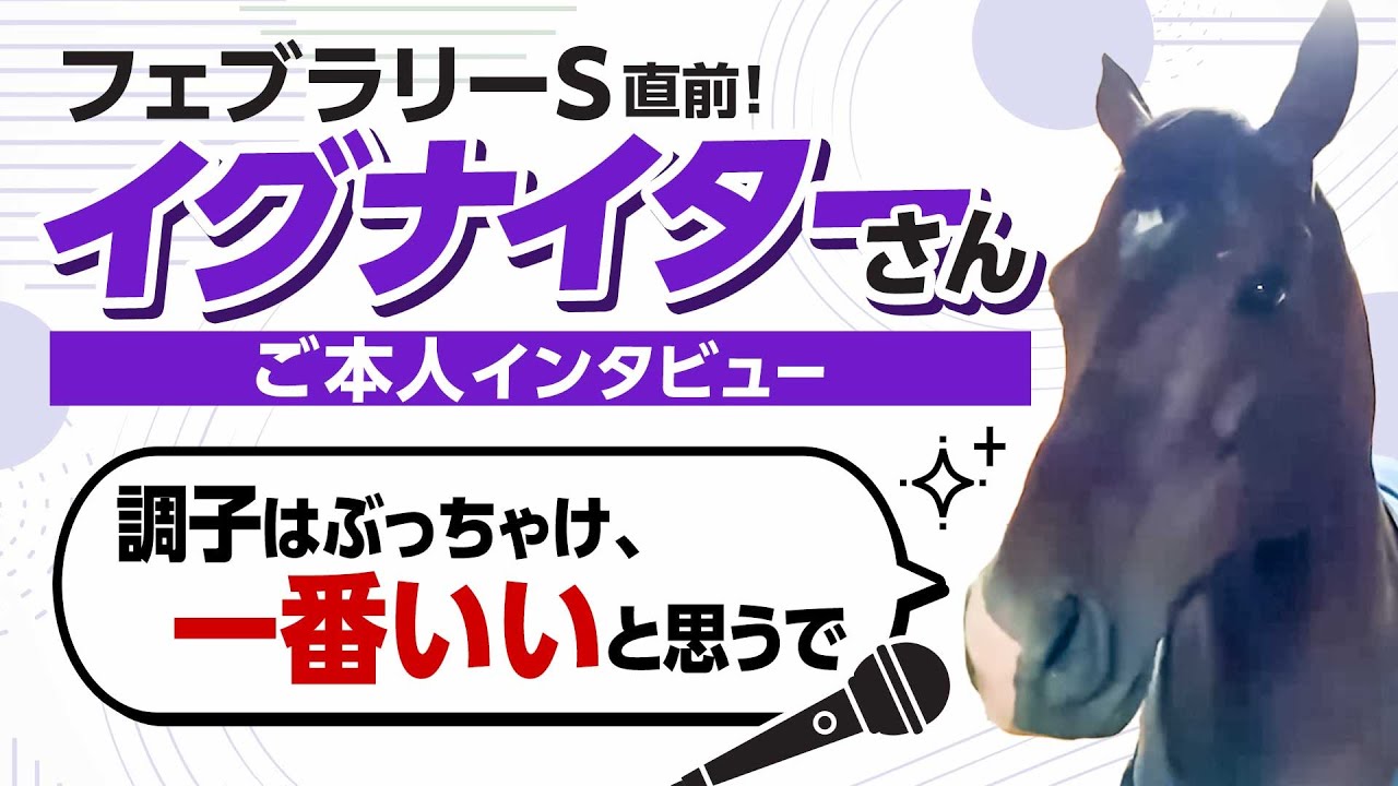 「俺、完成してきてるねん」イグナイターさん、フェブラリーSを前に決意を語る【あの馬ご本人インタビュー】