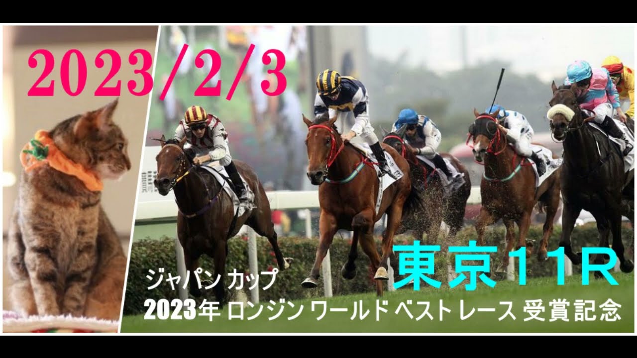 2024/2/3　東京１１レース　ジャパン カップ 2023年 ロンジン ワールド ベスト レース 受賞記念　枠順確定