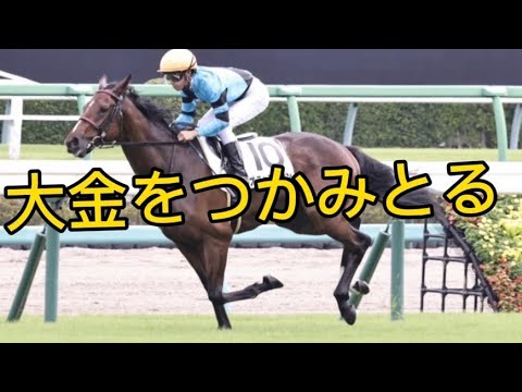 オニャンコポン&洛陽S予想