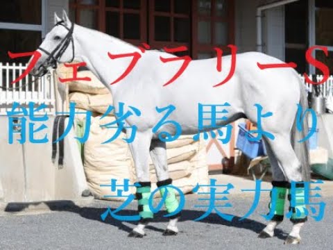 フェブラリーステークス2024 人気薄の二刀流がくる 共同通信杯１０万馬券的中