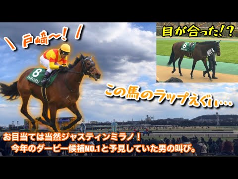 【ジャスティンミラノ】今年のダービー候補が満を持して共同通信杯に出走！！同馬の後半ラップをガン見せよ！！【3歳牡馬クラシック展望】