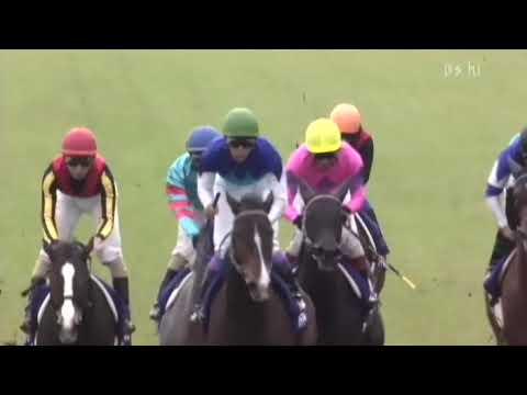 2004 エリザベス女王杯   アドマイヤグルーヴ BS-hi