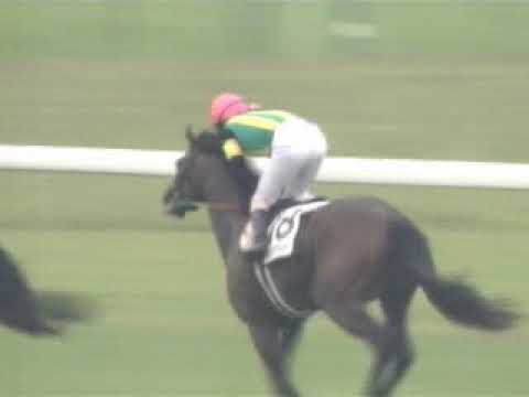 2001 日本ダービー 東京優駿   ジャングルポケット NHK