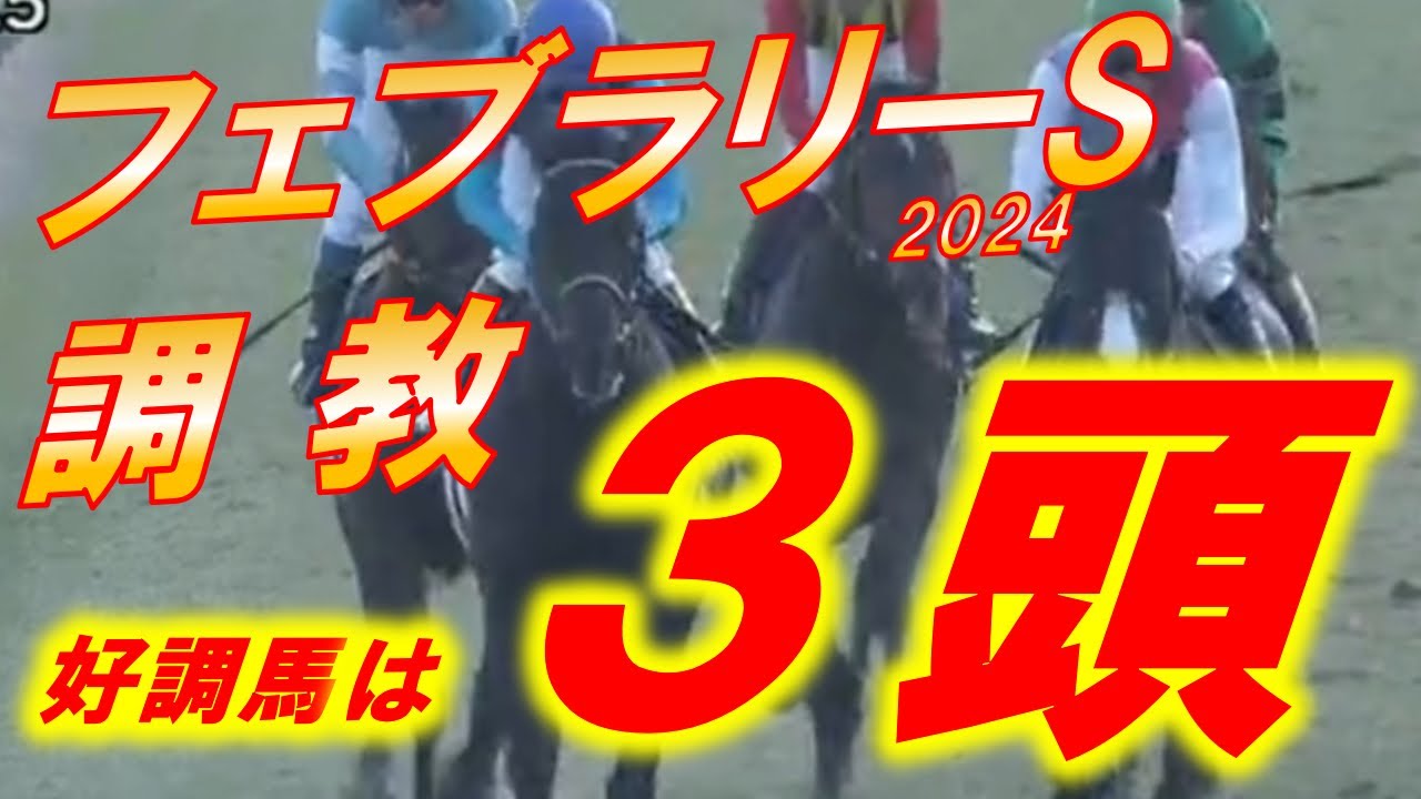 フェブラリーS2024　追い切り診断！！　オメガギネス、ウィルソンテソーロ、ドゥラエレーデ等　混戦模様も、好調馬は3頭！！　元馬術選手のコラム by アラシ