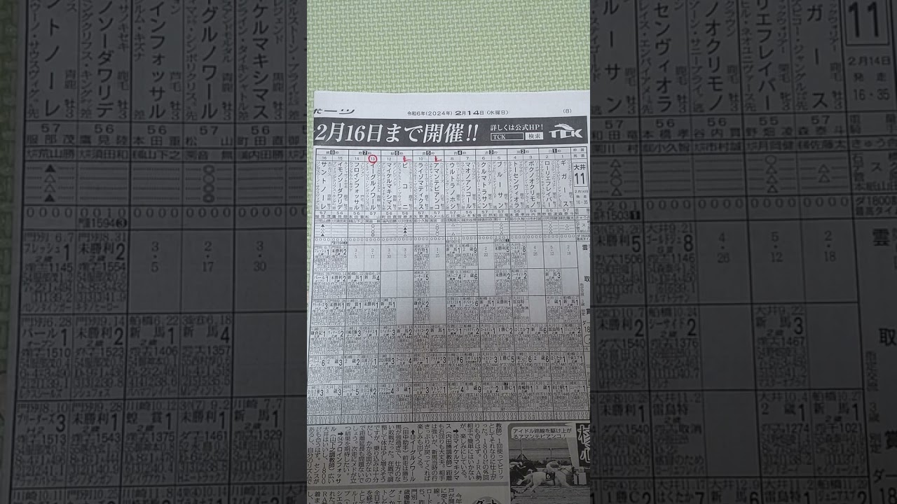 2024/2/14　大井11R　雲取賞　予想