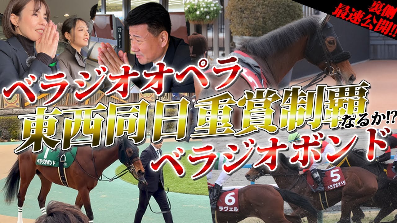 「京都記念2024 共同通信杯2024」 ベラジオオペラ ベラジオボンド 2頭が東西重賞に挑戦！ 当日裏側密着取材 最速公開！【ベラジオch】