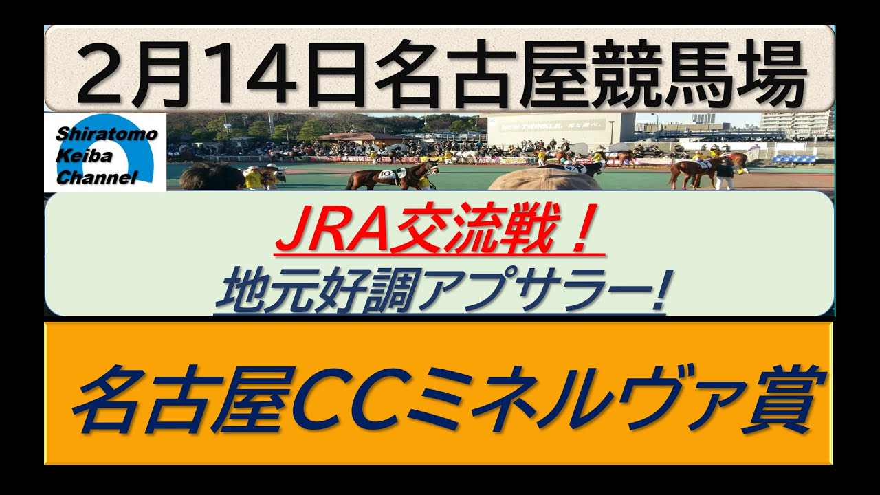 【競馬予想】名古屋CCミネルヴァ賞　JRA交流戦！～２０２４年２月１４日 名古屋競馬場 ：２－３１