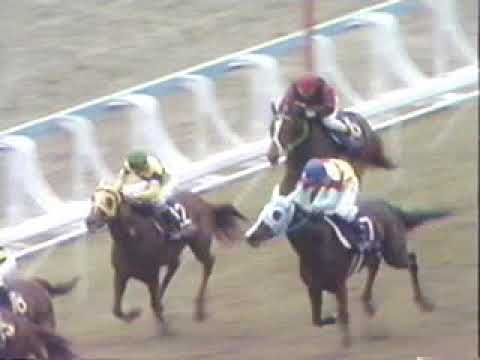 1991 桜花賞 シスタートウショウ