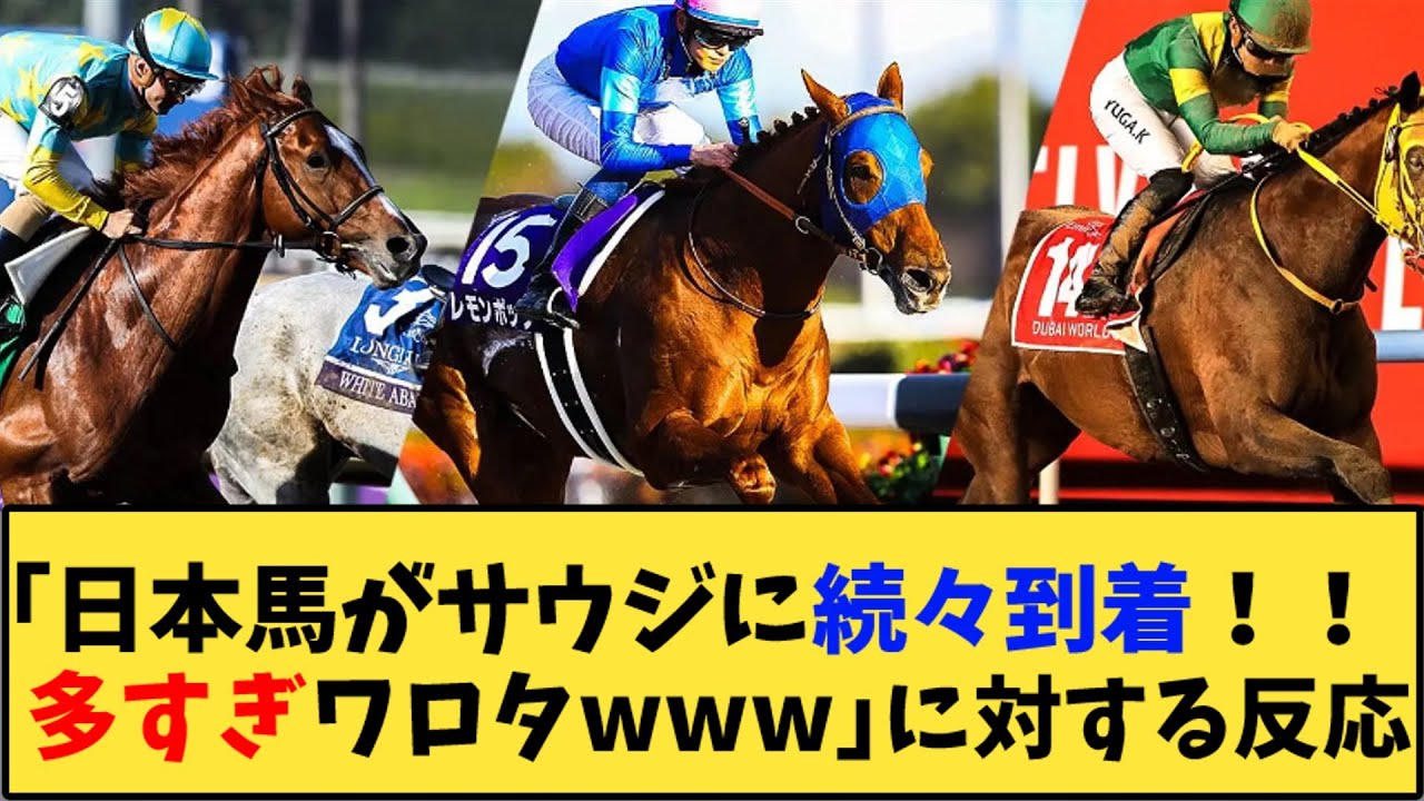 【競馬】「日本馬がサウジに続々到着！！多すぎワロタwww」に対する反応【反応集】