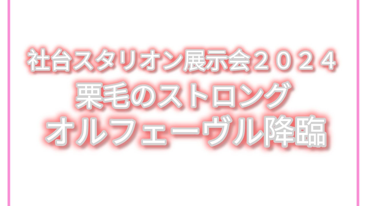 【社台スタリオン展示会２０２４】栗毛の馬体 メジロマックイーンとステイゴールドの黄金配合から生まれた「オルフェーヴル」。数々の名馬を輩出する種馬の1頭