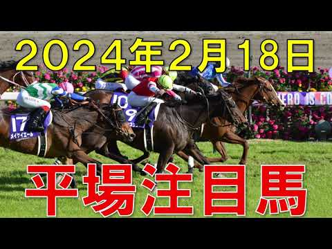 JRA 競馬予想 厳選平場予想 2月18日 平場の注目馬ピックアップ