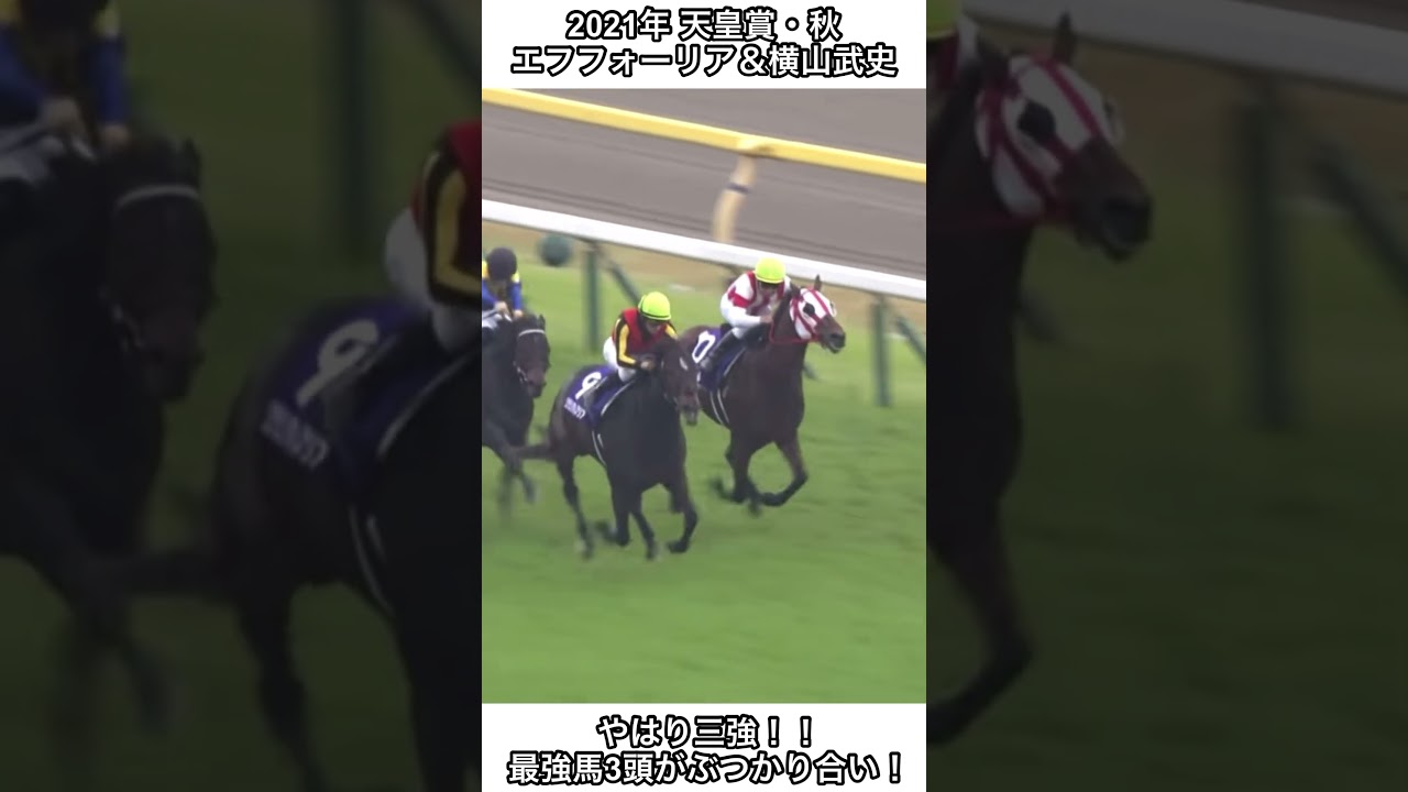 【競馬】最強馬3頭が天皇賞・秋でぶつかり合う！若き人馬が頂点に立った！#天皇賞秋 #shorts #競馬 #エフフォーリア #コントレイル #グランアレグリア