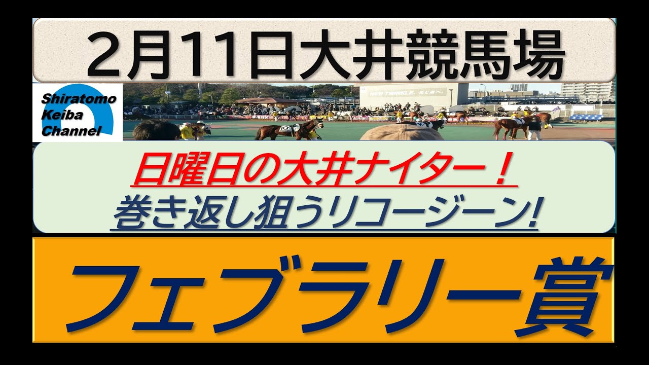 【競馬予想】フェブラリー賞！～２０２４年２月１１日 大井競馬場 ：２－２６