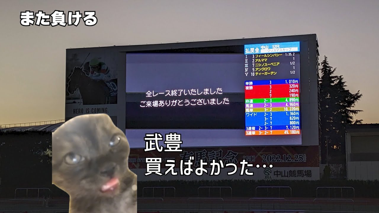 ウマ娘から競馬に沼った人の末路 #猫ミーム #猫マニ #ウマ娘