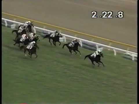 1983 日本ダービー ミスターシービー