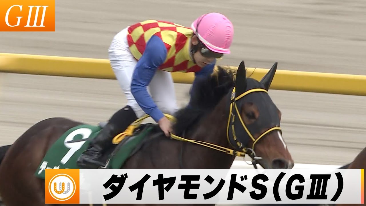 【2024】第74回ダイヤモンドステークス（GIII） 中山競馬場11R ｜ウイニング競馬 2024年2月17日（土）