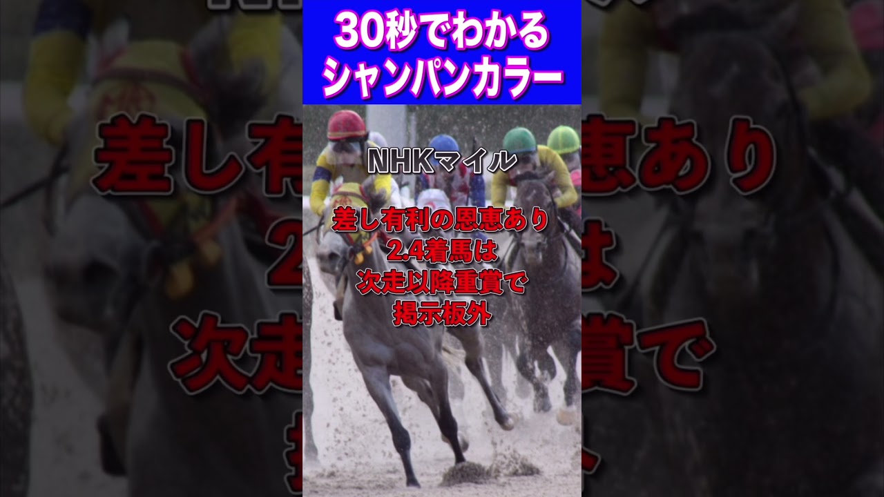 【フェブラリーS2024】30秒でわかるシャンパンカラー