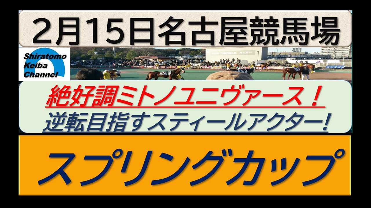 【競馬予想】重賞・スプリングカップ！～２０２４年２月１５日 名古屋競馬場 ：２－３３