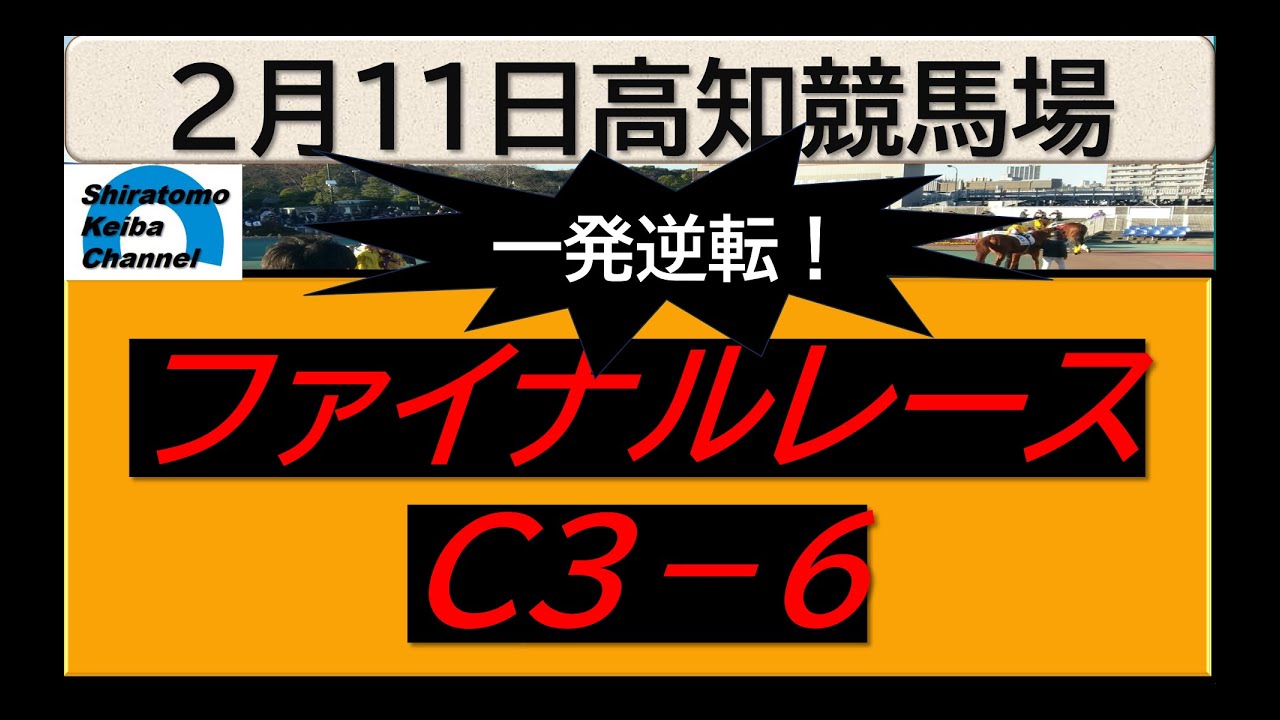 【競馬予想】ファイナルレースC３－６！～２０２４年２月１１日 高知競馬場 ：２－２６