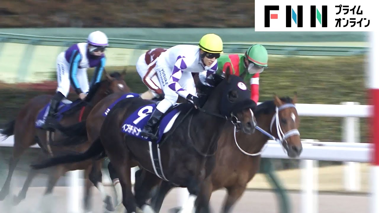 【フェブラリーS】11番人気・ペプチドナイルが抜け出し勝利「ダート新王者」に　3連単150万円超えの大波乱決着