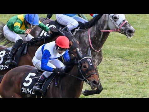東京10R雲雀ステークス2024ヴェルトハイム