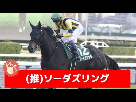 追い切り徹底解説！【京都牝馬ステークス2024】ナムラクレア、メイケイエールなどの状態はどうか？調教S評価は2頭！