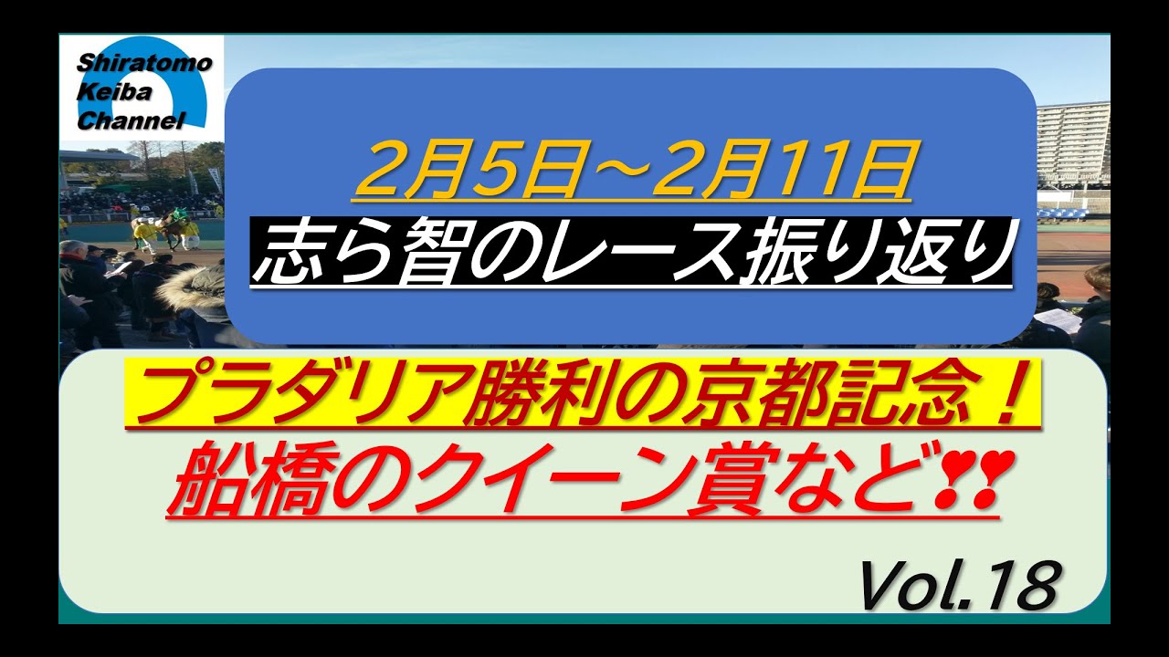 レース振り返り 2024年2月5日～2月11日 Vol 18