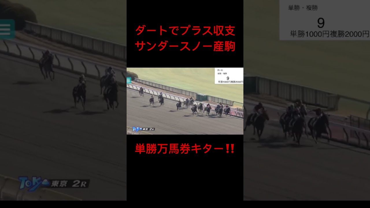 ダートでプラス収支になるサンダースノー産駒を買ったら単勝万馬券キター‼️ #血統 #ウマ娘 #万馬券 #フェブラリーステークス