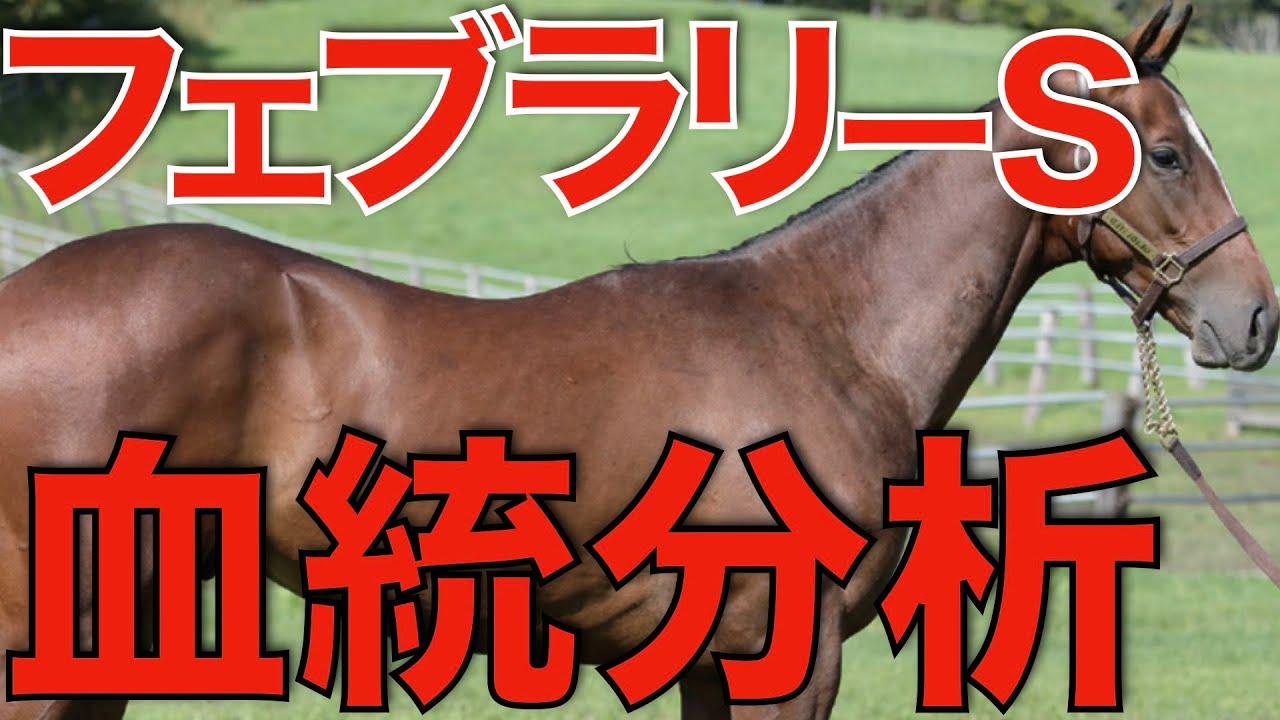 【フェブラリーS】あの種牡馬の産駒がダートでも頂点を獲りそうな予感！