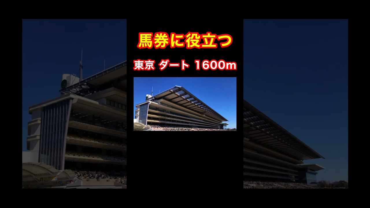 【馬券に役立つ東京ダート1600m】 #競馬 #フェブラリーステークス #競馬予想