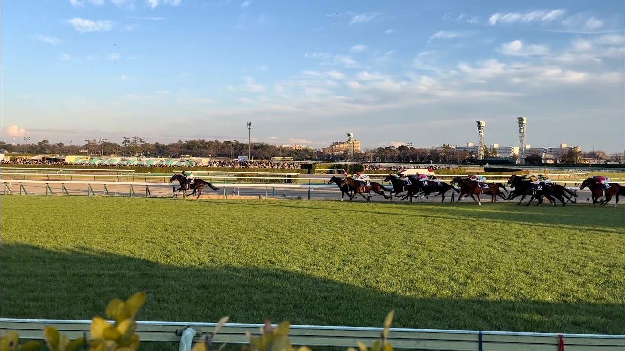 武豊ファンによる魂の有馬記念観戦   〜おかえりなさい、そしてメリークリスマス編〜