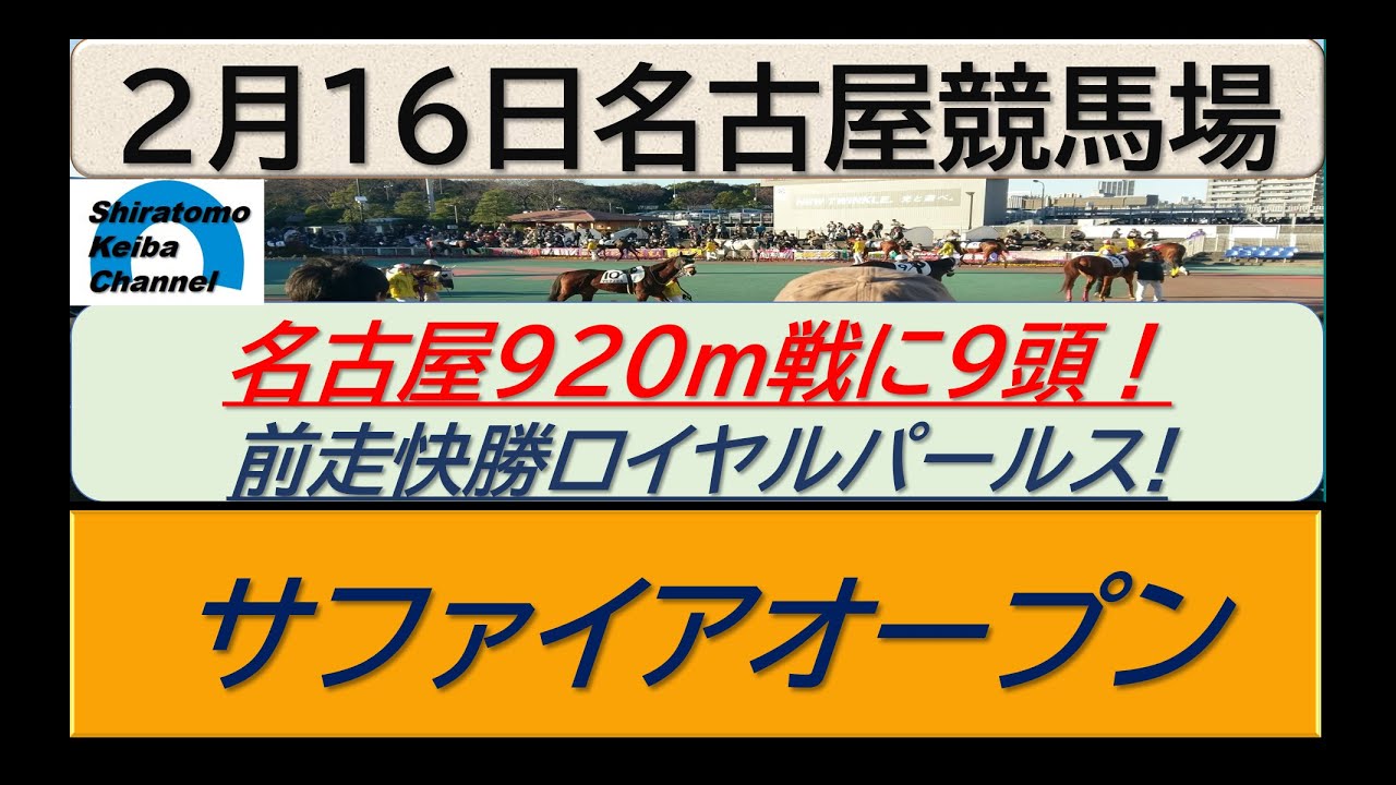 【競馬予想】サファイアオープン！～２０２４年２月１６日 名古屋競馬場 ：２－３５